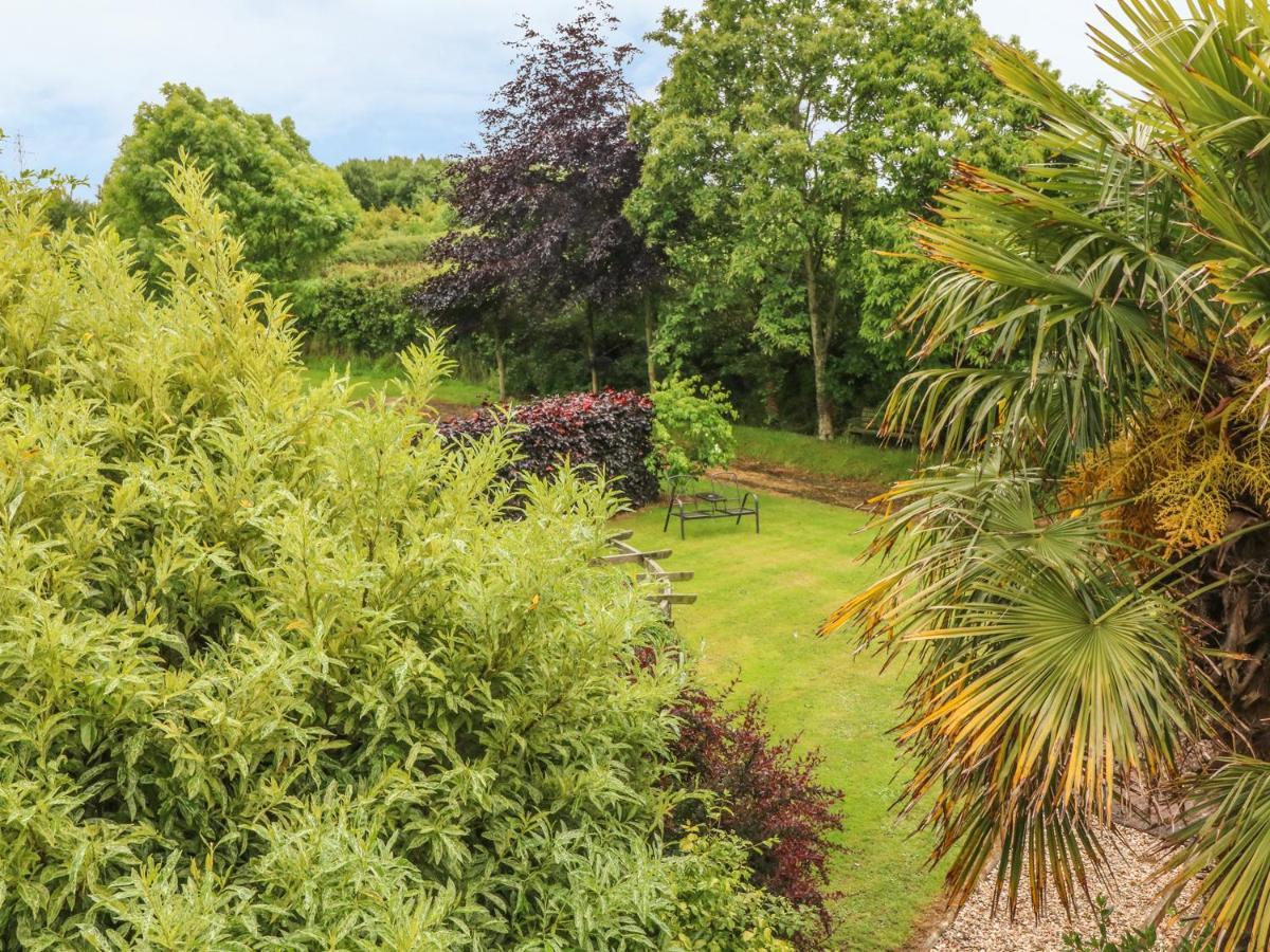 Appartement Fig Trees - Wibble Farm à Williton Extérieur photo